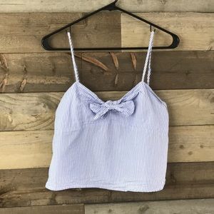 Hearts and Hips Blue and White Crop Top